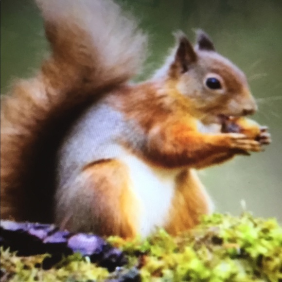 Meet your Posher, Eva - Picture 8 of 11